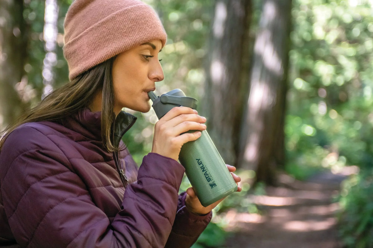 22 oz Insulated Stainless Steel Water Bottle with Straw and Flip-Top Lid Y858319