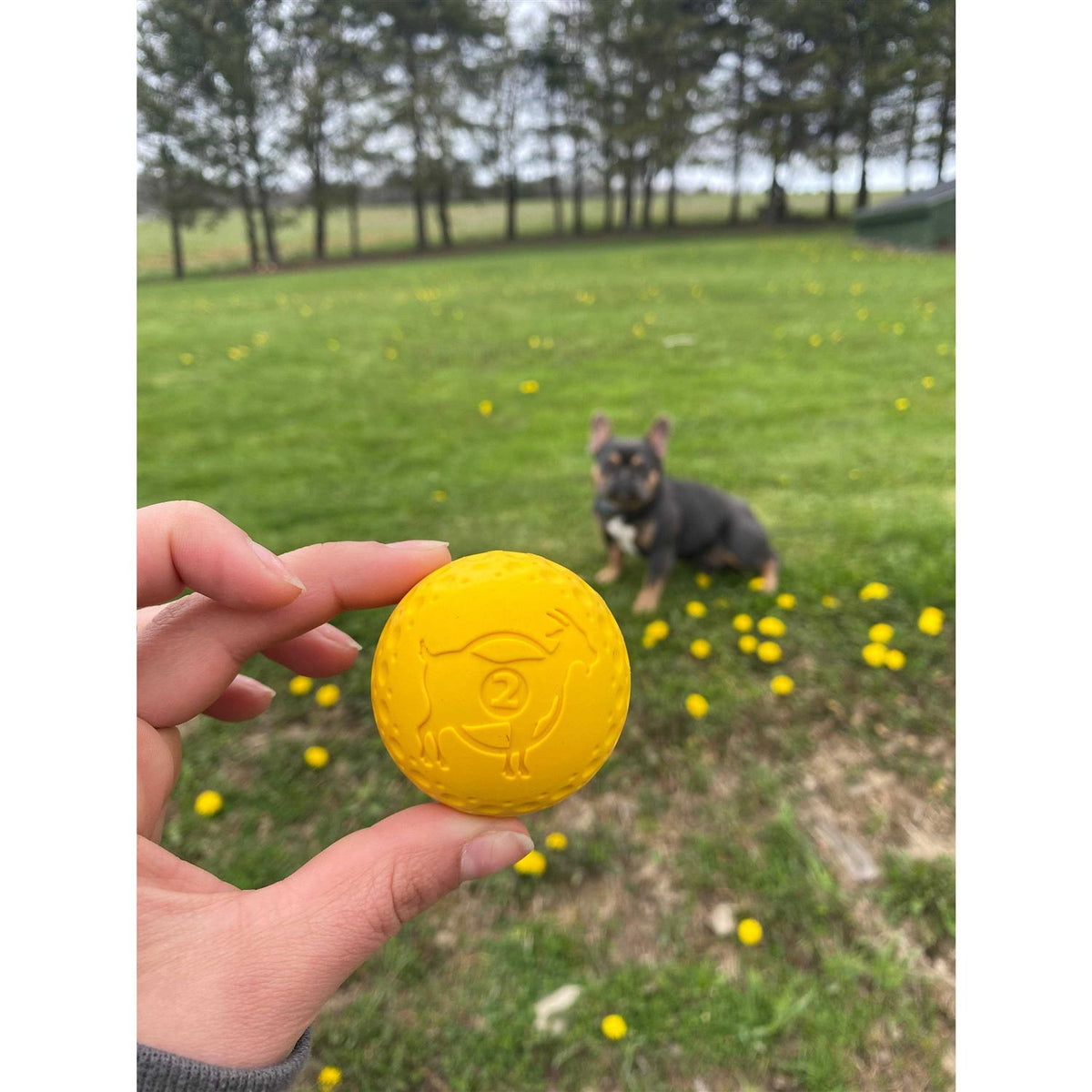 Goat Sport Ball Dog Toy G7290