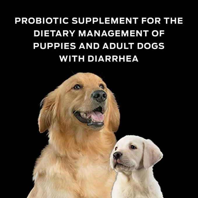 Probiotic Supplement for Dogs, 30 Sachets U1664