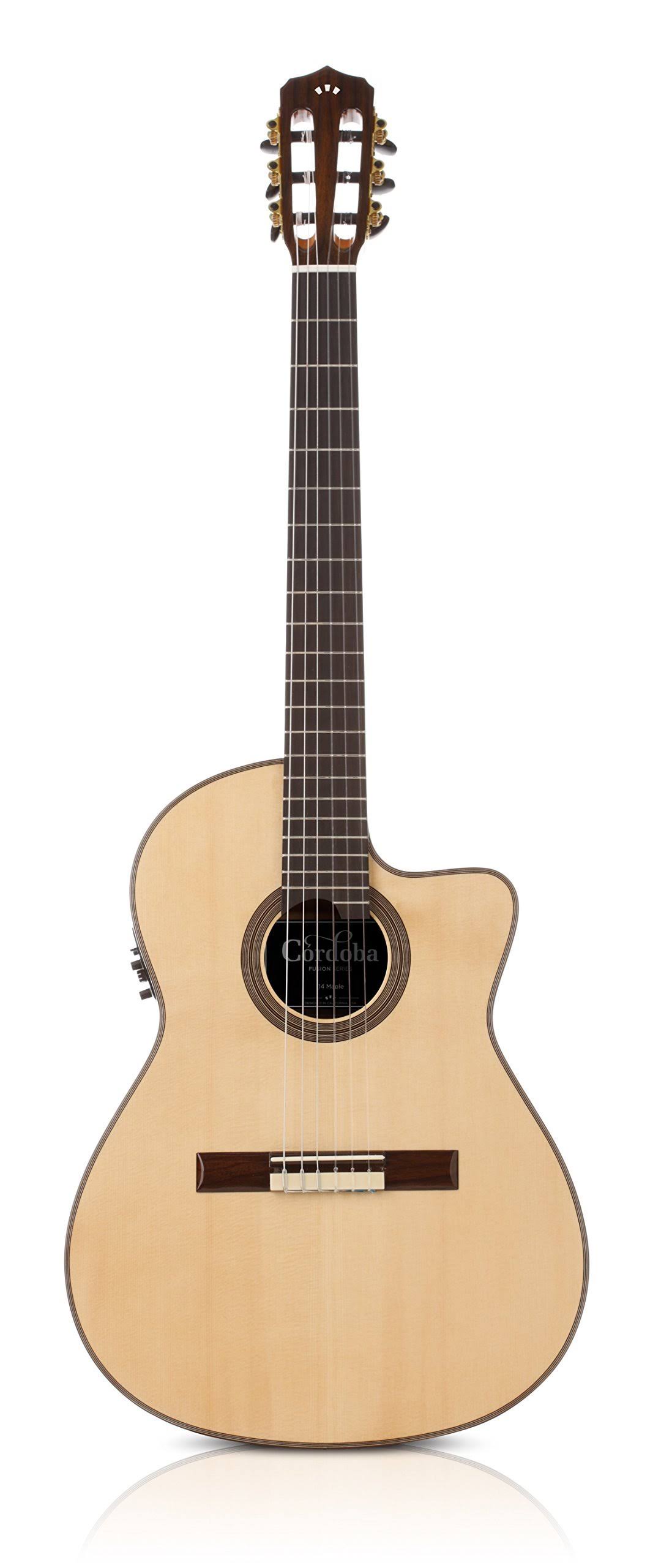 Maple Acoustic Electric Nylon String Classical Guitar V985044