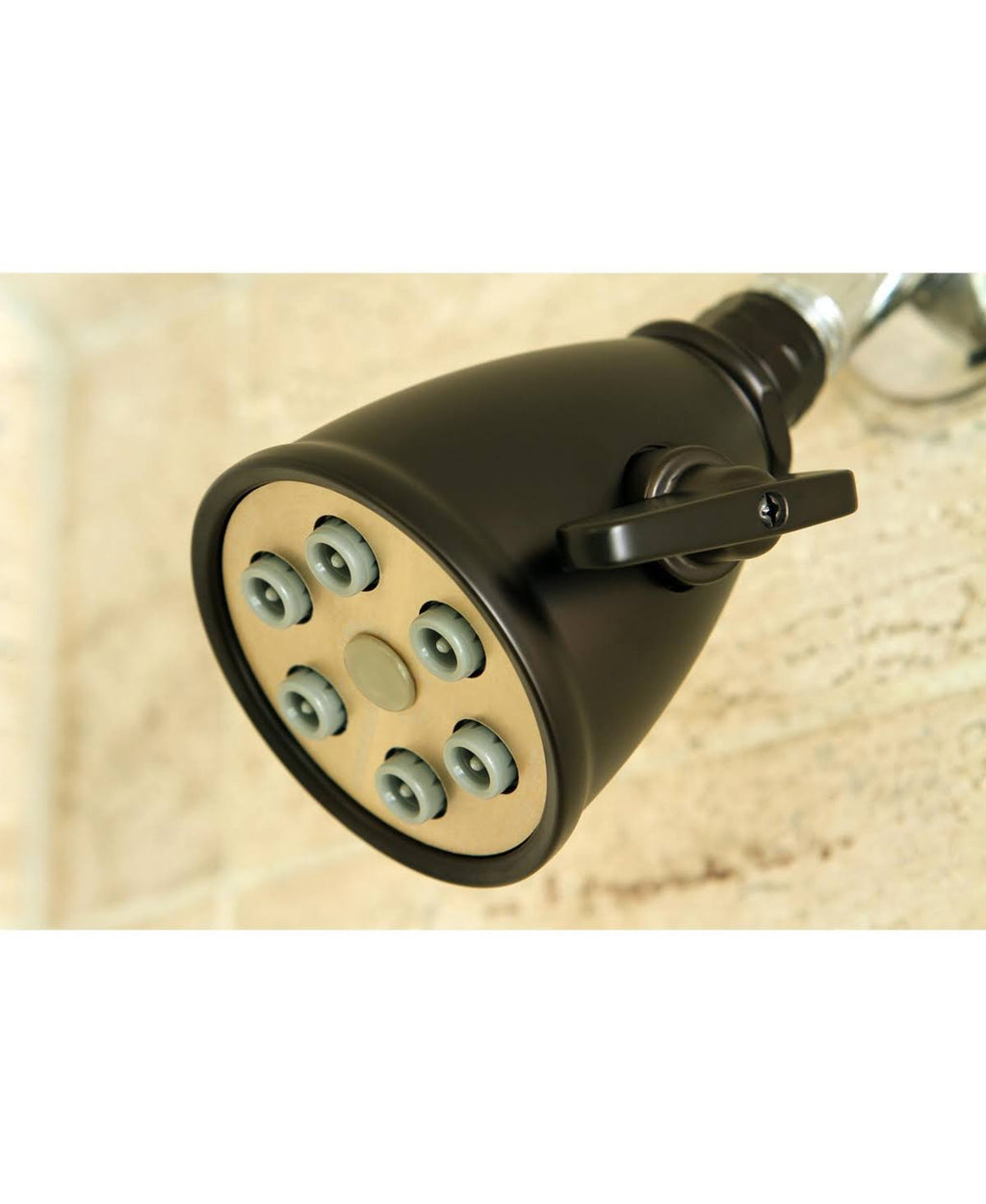 Polished Brass Shower Head V454034