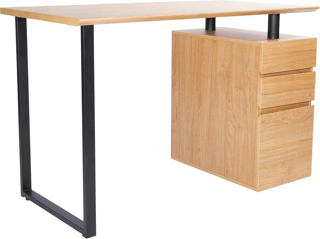 Computer Desk with Storage and File Cabinet E102