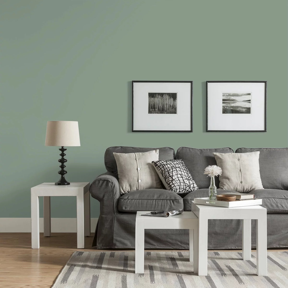 Interior Paint Green Eggshell 1 Gallon N260
