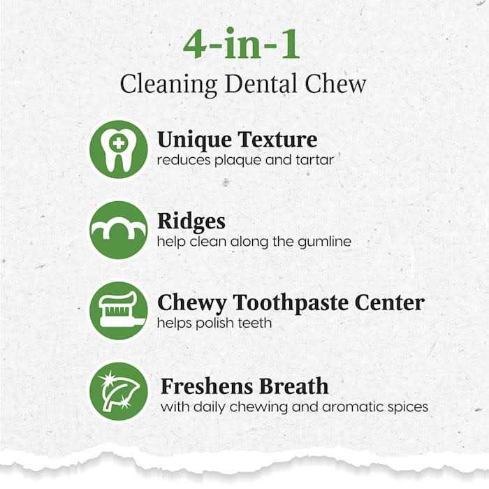 Brushless Toothpaste Large F428