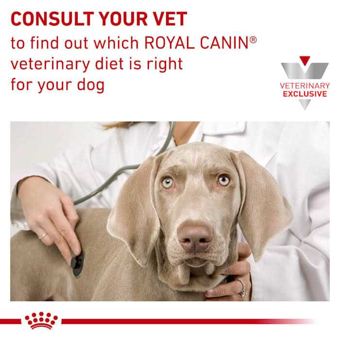 Veterinary Diet Dry Dog Food Q490539