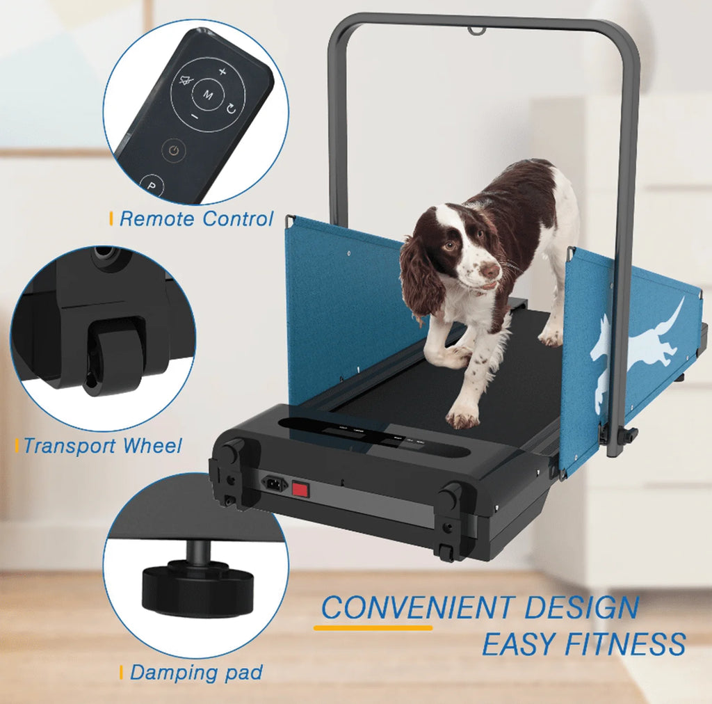 Black Dog Treadmill for Dogs up to 220 lb G87775