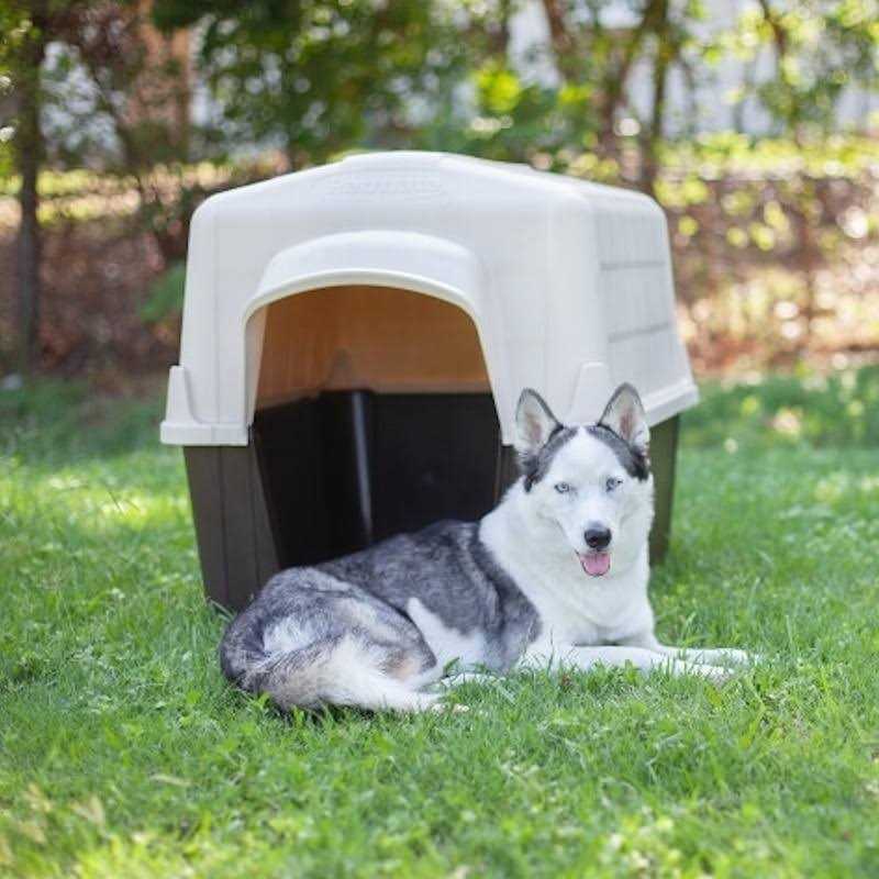 Pet Supplies J670663