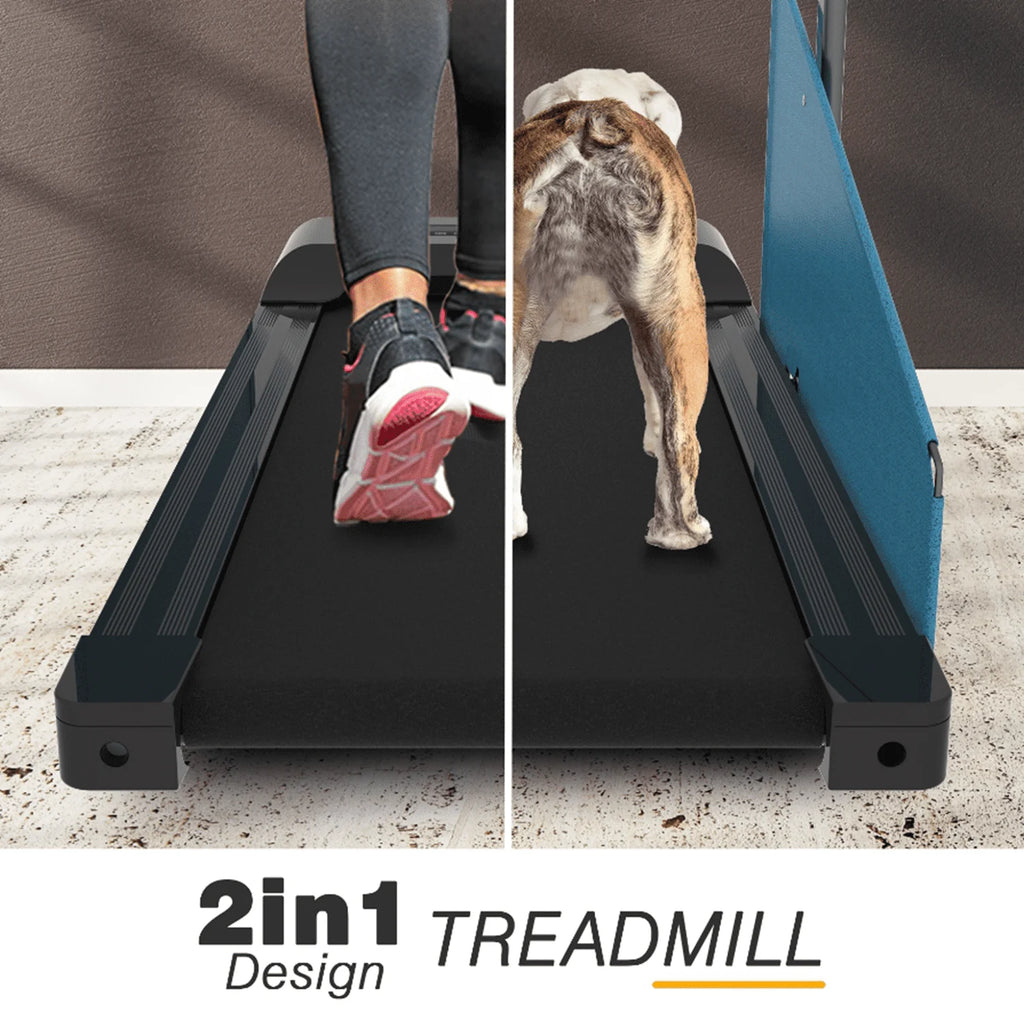 Black Dog Treadmill for Dogs up to 220 lb G87775