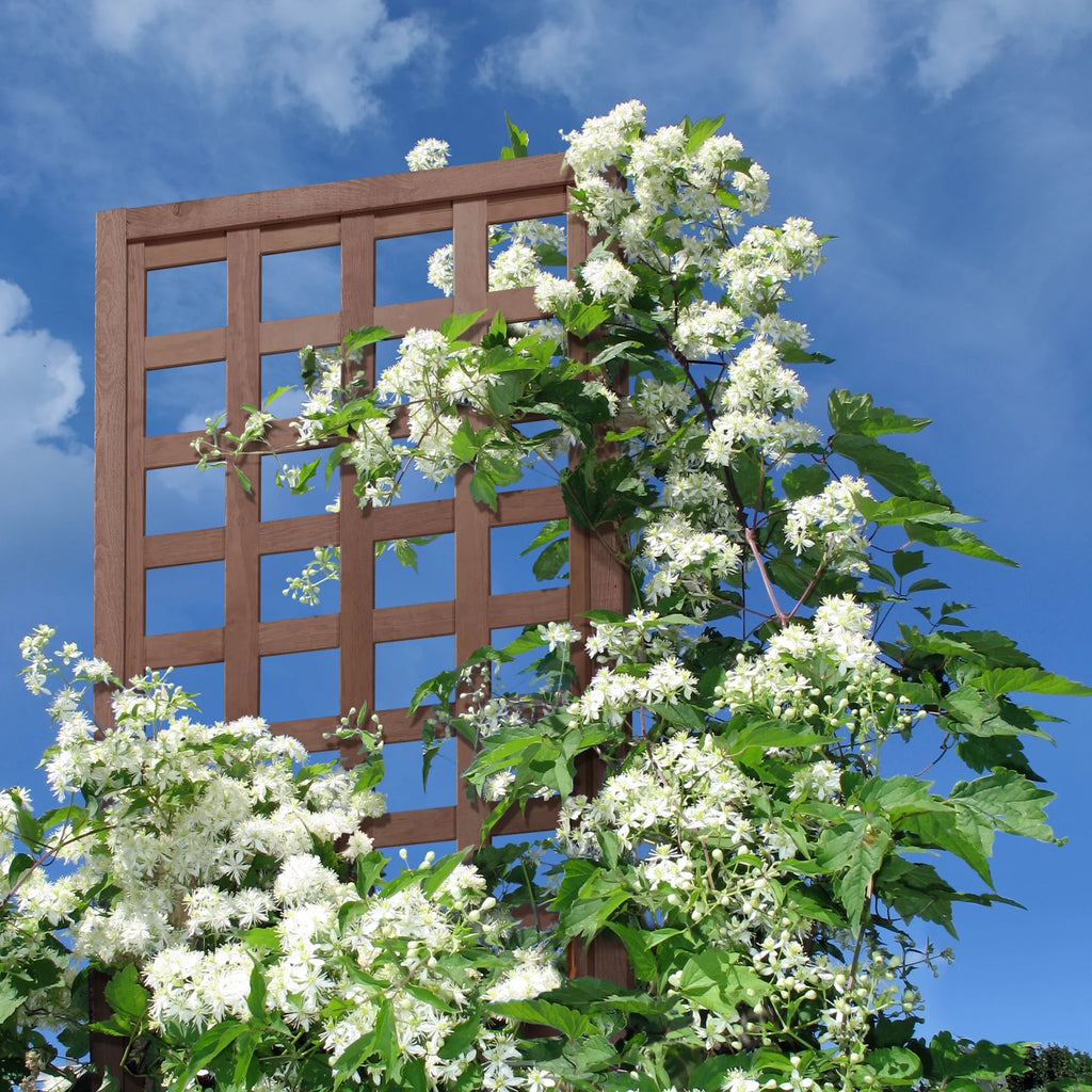 Walnut-Tone Square Lattice Trellis W102927