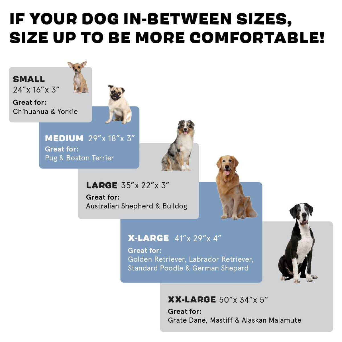 Memory Foam Platform Dog Bed Plush Mattress S714943