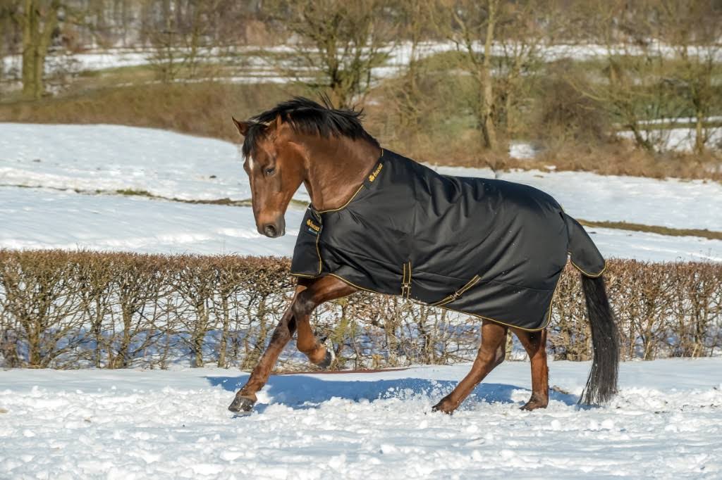 Black Turnout F553