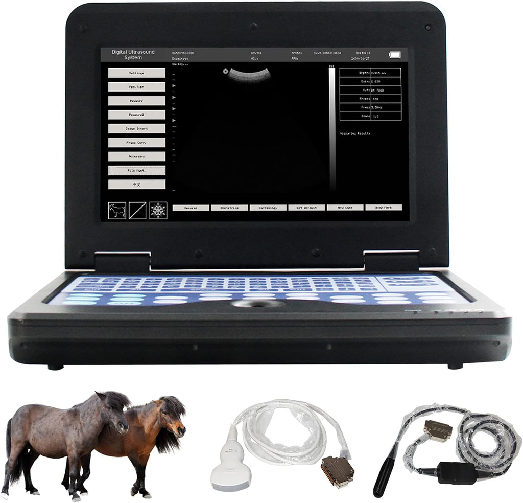 Portable Veterinary Ultrasound Machine with Convex and Linear Probe X49065