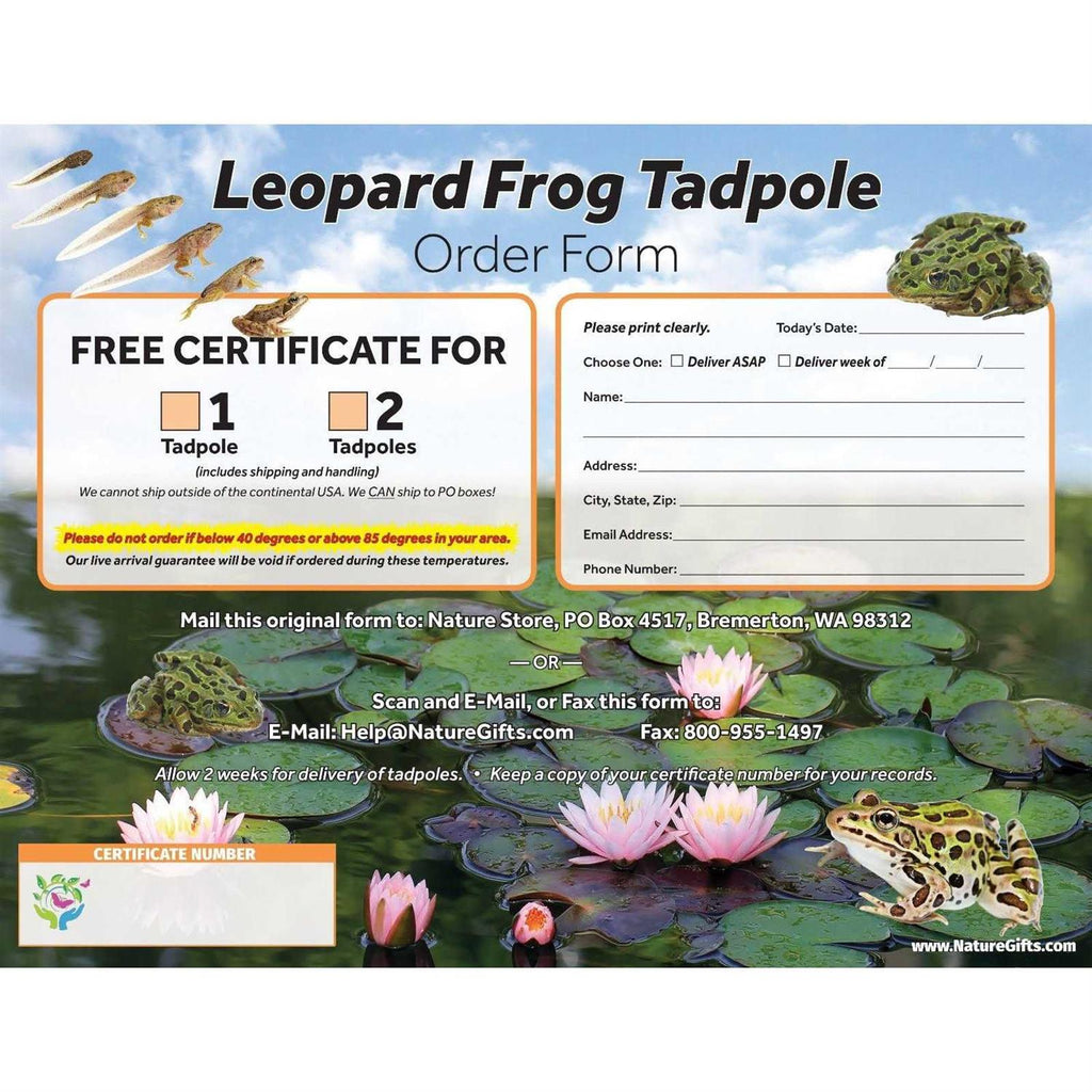 1-Gallon Frog Growing Kit X324