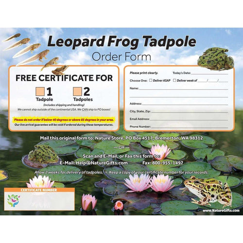 1-Gallon Frog Growing Kit X324