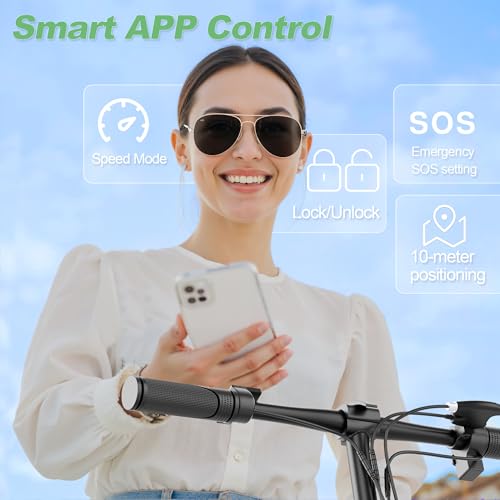 Electric Scooter with Back Basket Z17893
