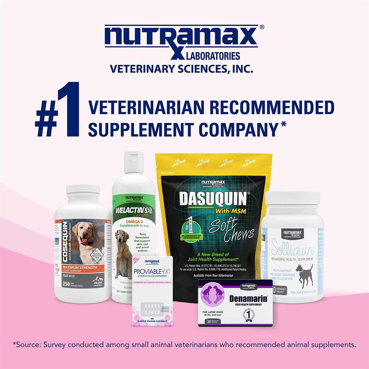 Health Supplement Kit Dogs V346
