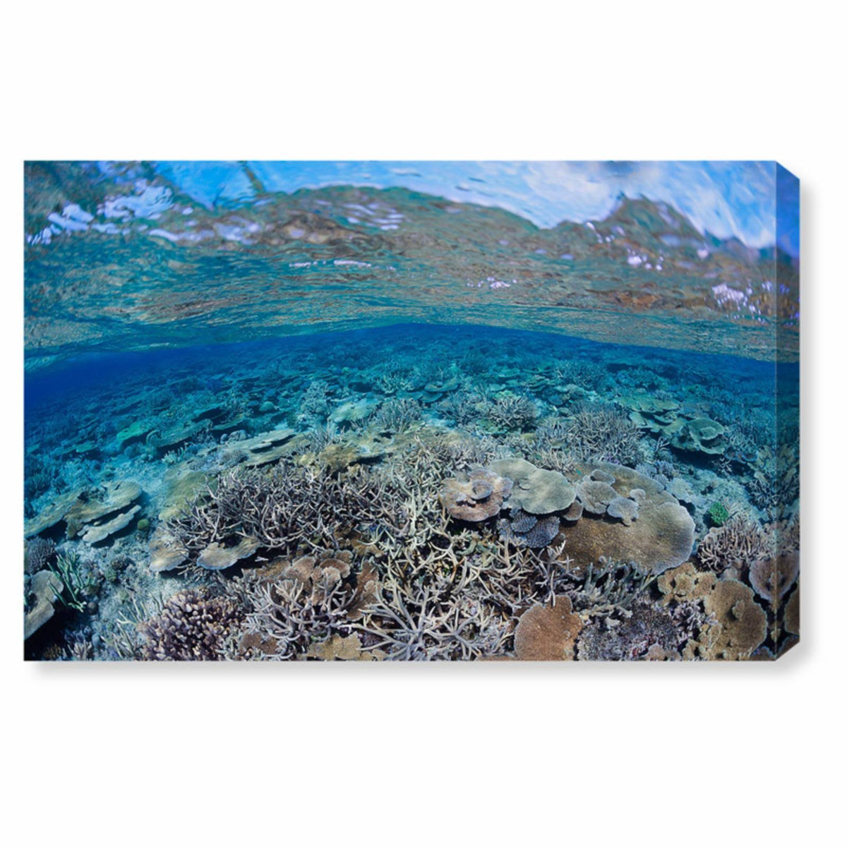 Blue Canvas Art Z551914
