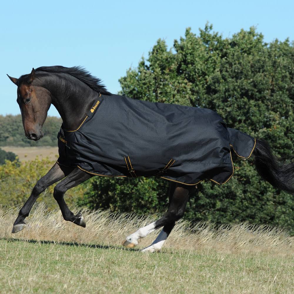 Black Turnout F553
