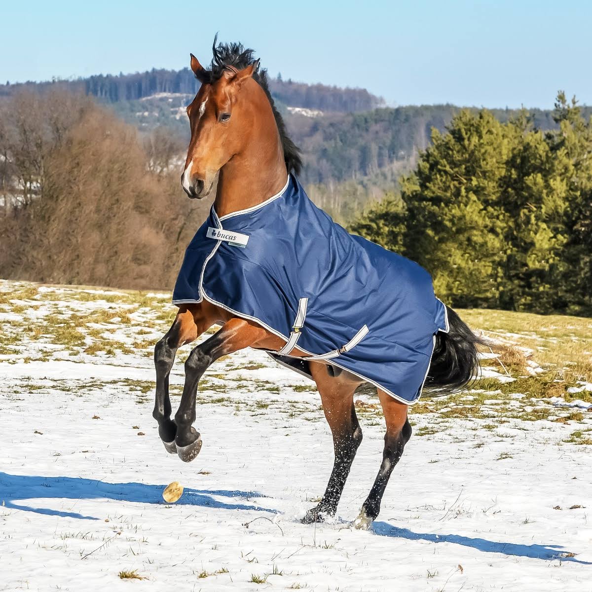 Navy 300g Turnout X44697