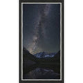 Framed Canvas W21441