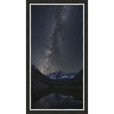 Framed Canvas W21441