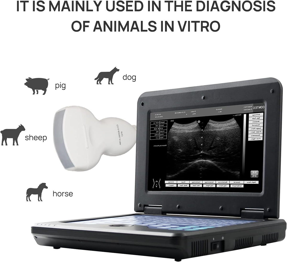 Portable Veterinary Ultrasound Machine with Convex and Linear Probe X49065