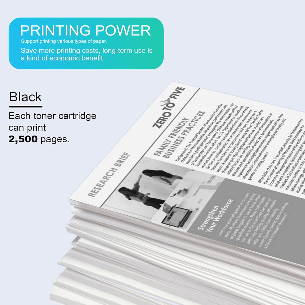 Black 2 Pack Toner Cartridge X794213