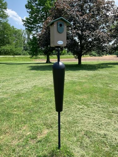Bird Feeder Mounting Pole with Baffle B45779