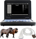 Portable Veterinary Ultrasound Machine with Convex and Linear Probe X49065