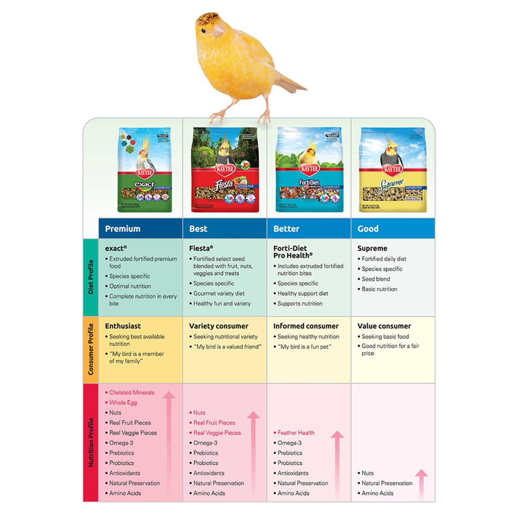 Parrot Food P3101