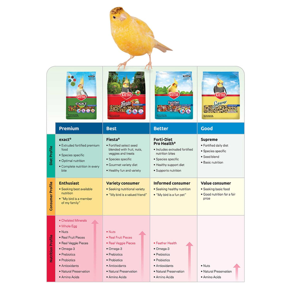 Parrot Food P3101