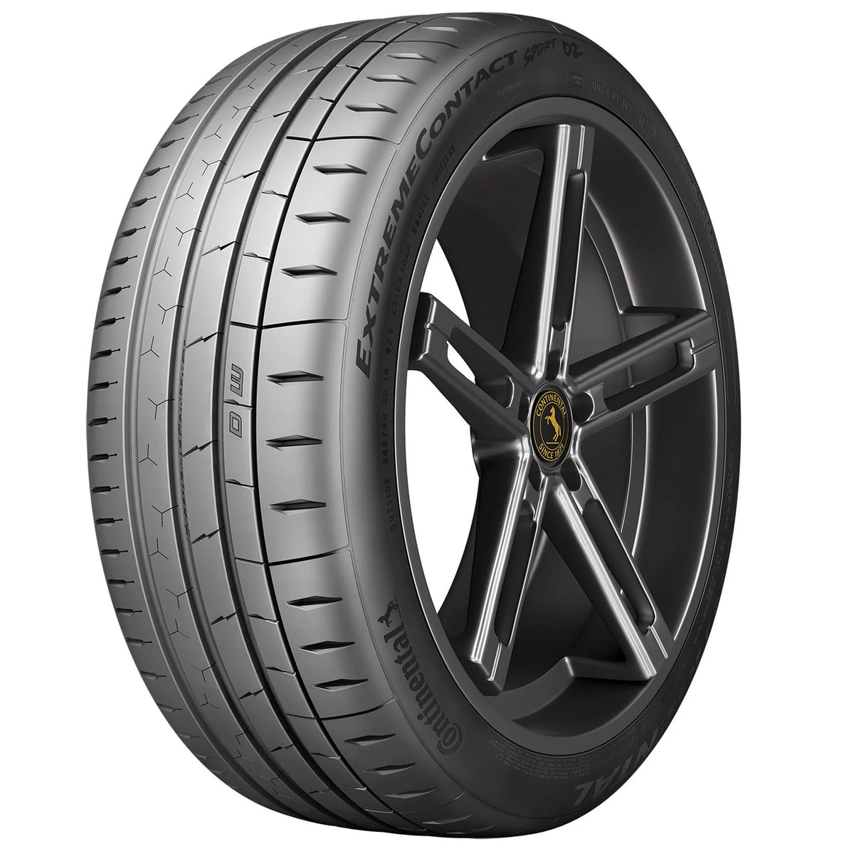 285/40ZR17 100W Summer Passenger Tire P6407