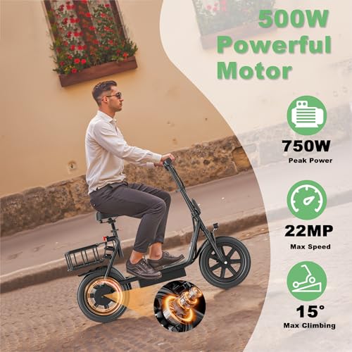 Electric Scooter with Back Basket Z17893