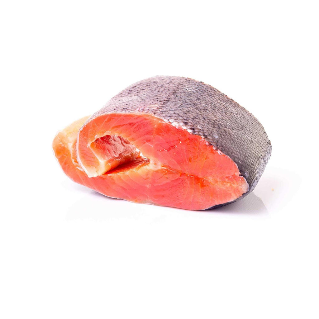 Salmon Dog Treats V820081