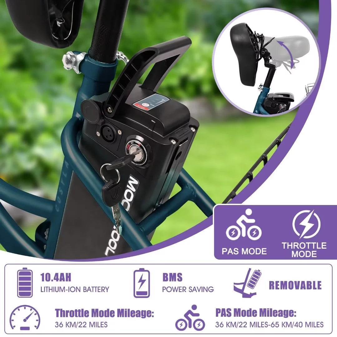 24'' 3 Wheel Electric Tricycle 500W 7-Speed Z840