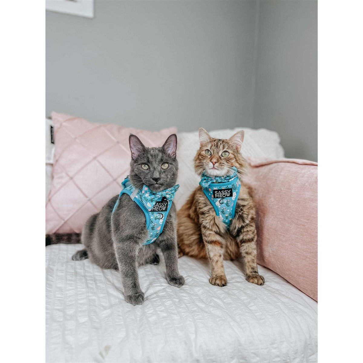 Cat Step-In Harness T9734