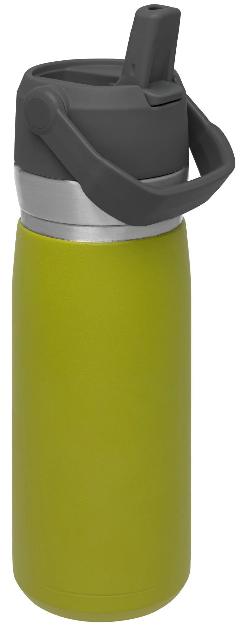 22 oz Insulated Stainless Steel Water Bottle with Straw and Flip-Top Lid Y858319
