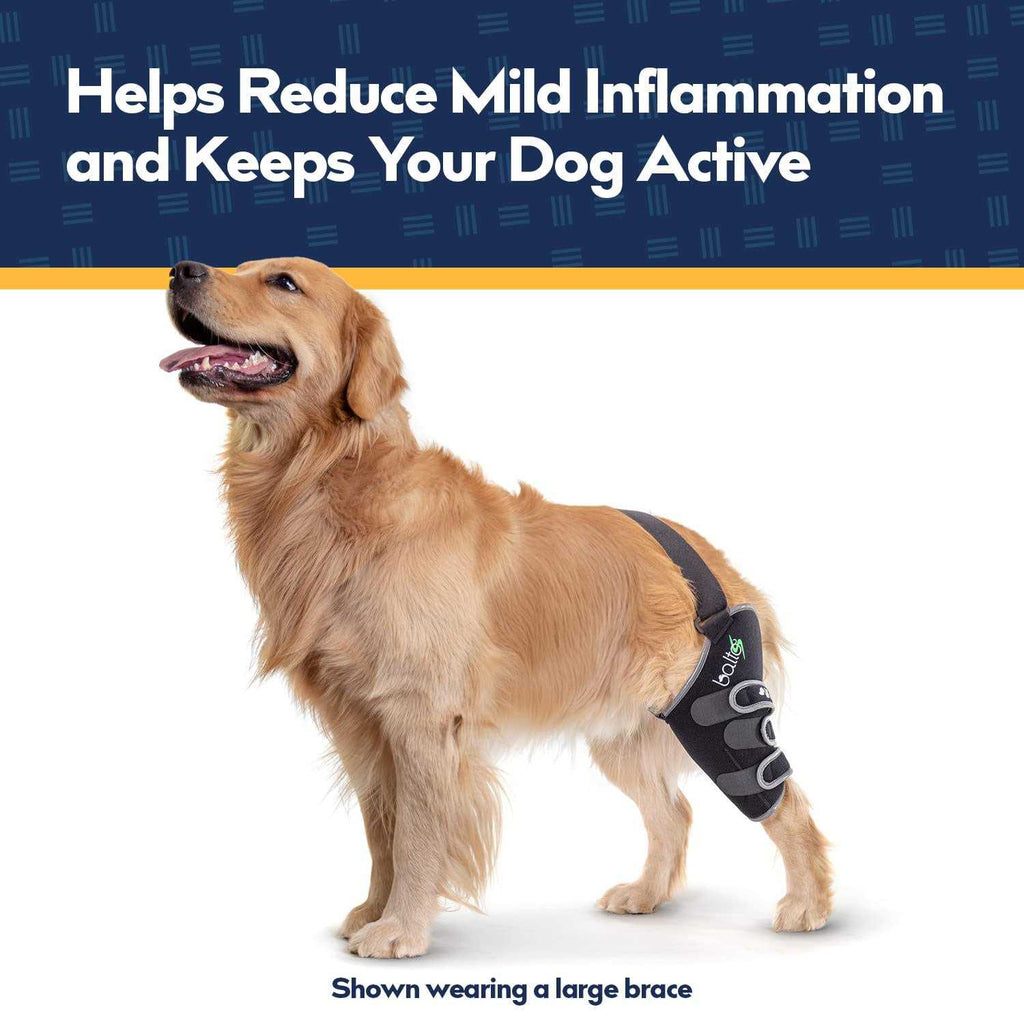 Knee Support for Dogs L585
