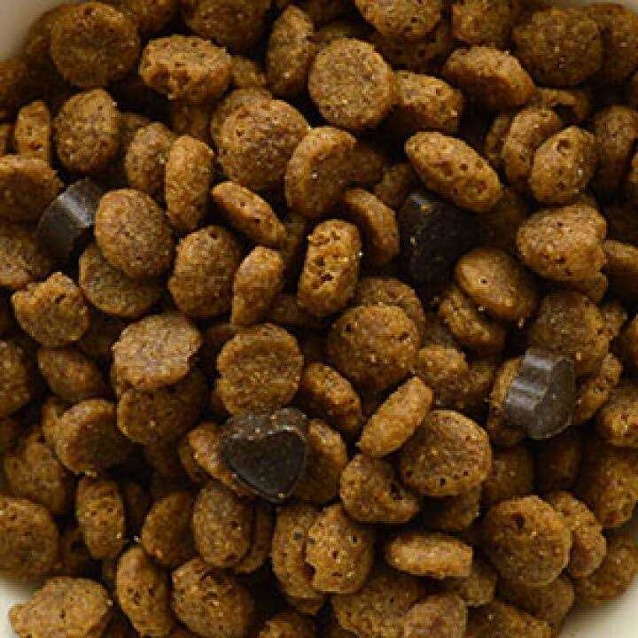 Urinary Dry Cat Food O7859