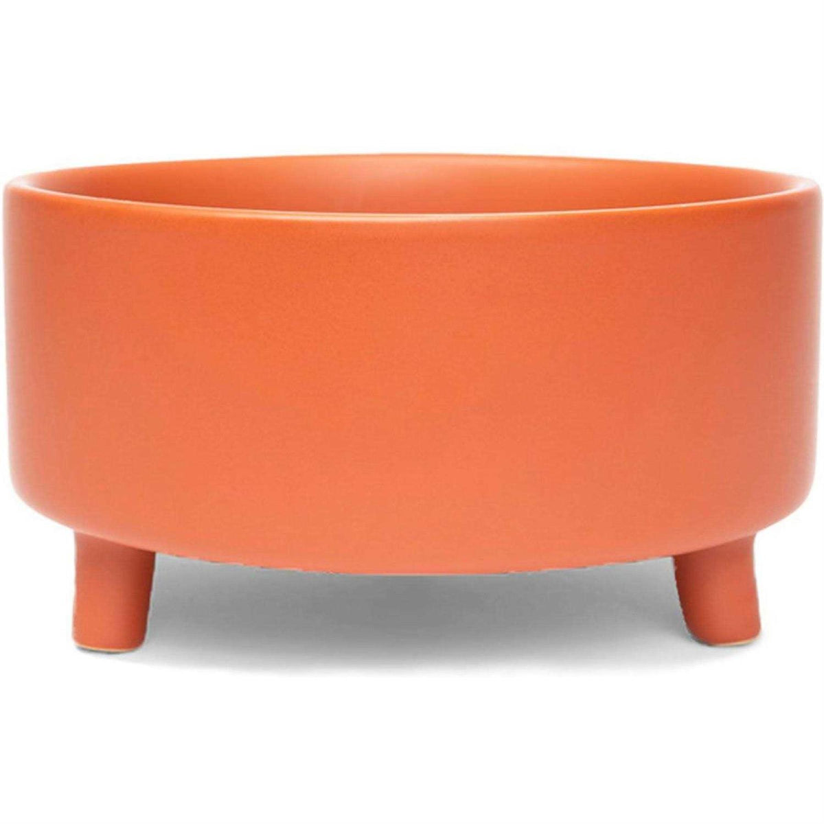 Ceramic Dog Bowl X57819