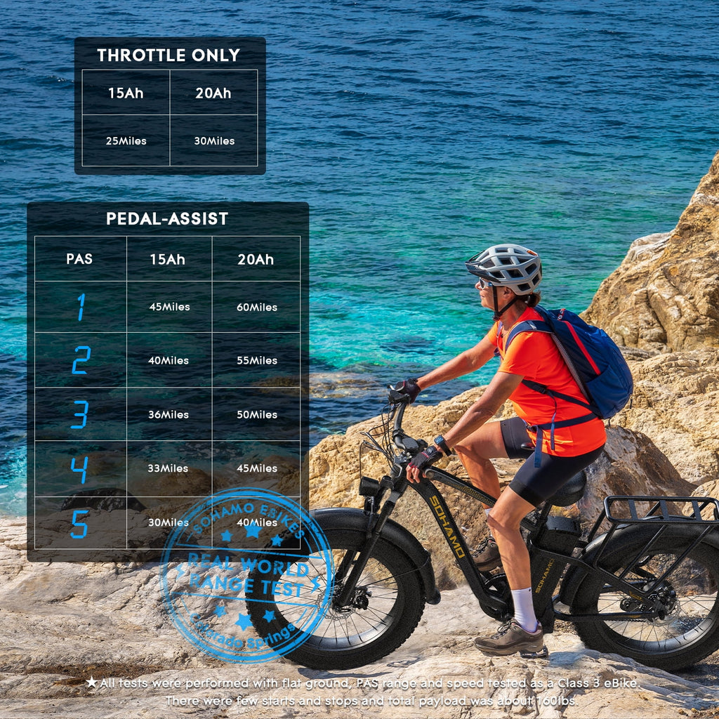 Electric Bike 26×4.0 Fat Tire 750W Motor 48V 15AH L313