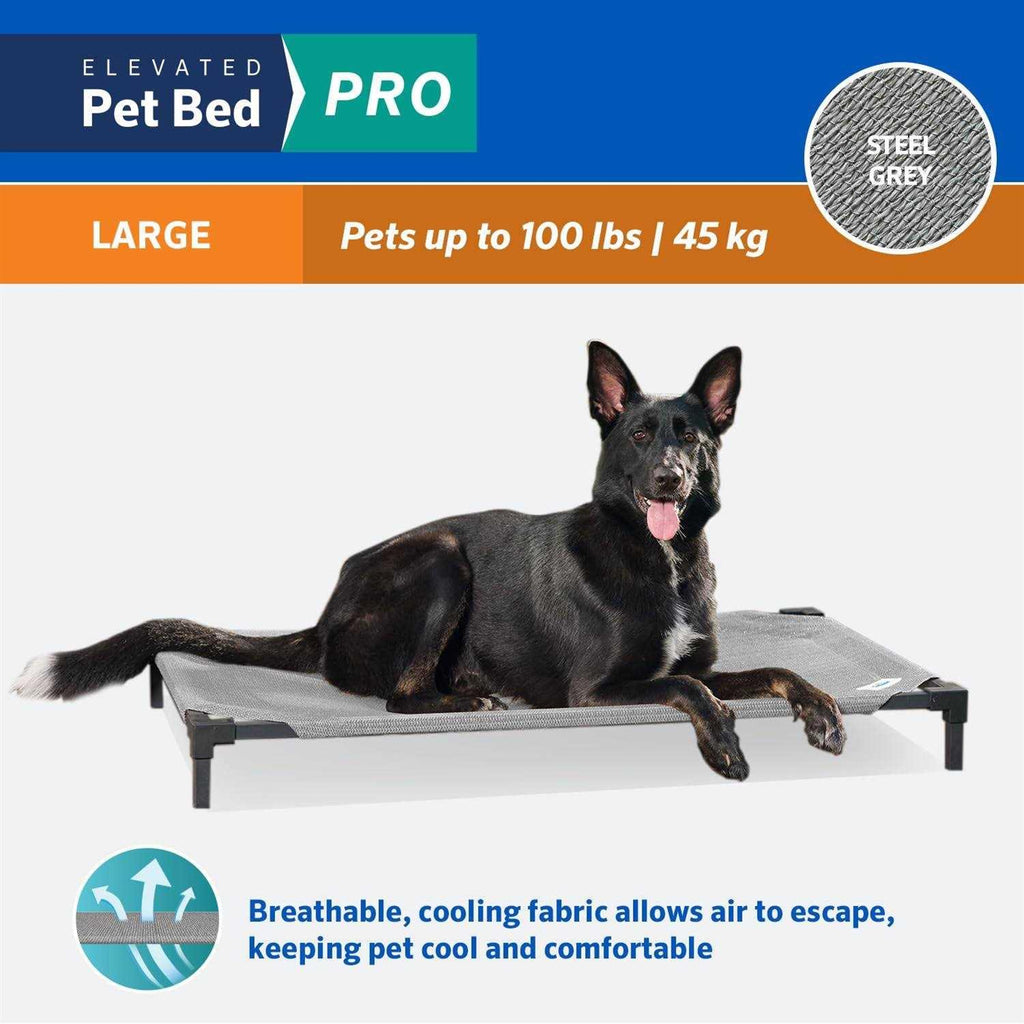 Elevated Pet Bed Q500