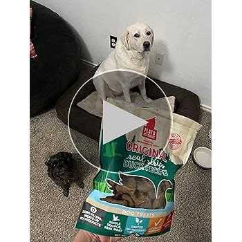 Salmon Dog Treats V820081