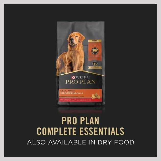 Beef Entree Wet Dog Food D947596