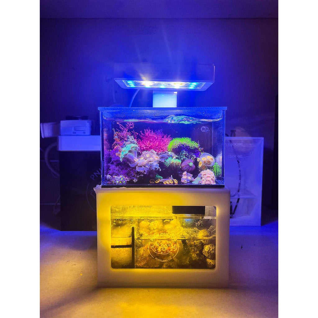 40oz Desktop Aquarium B904436
