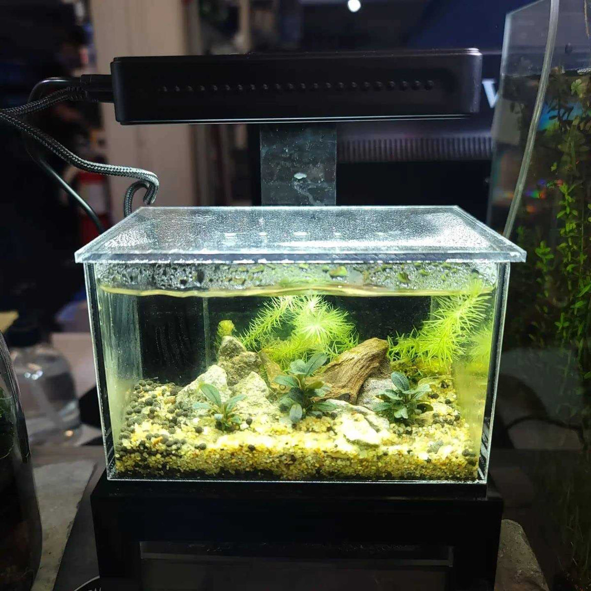 40oz Desktop Aquarium B904436