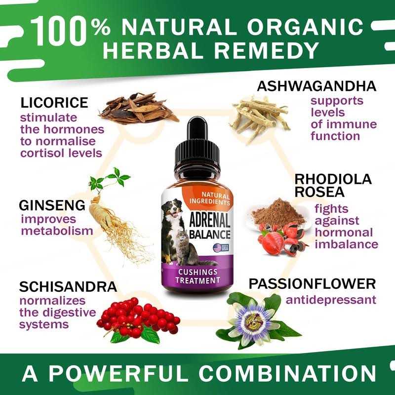 Adrenal Balance for Dogs and Cats L4421
