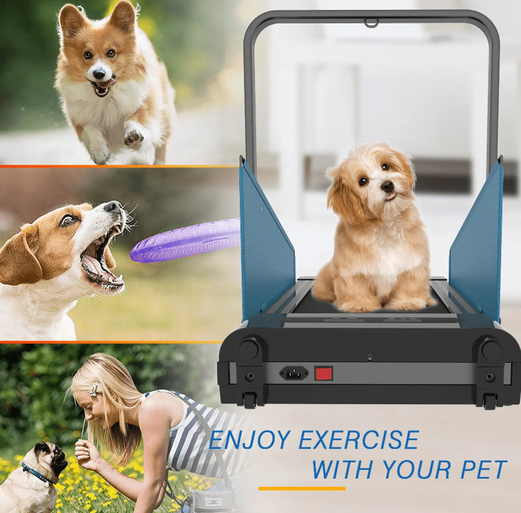 Black Dog Treadmill for Dogs up to 220 lb G87775