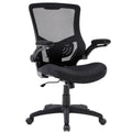 Black Mesh Ergonomic Office Chair with Lumbar Support E830