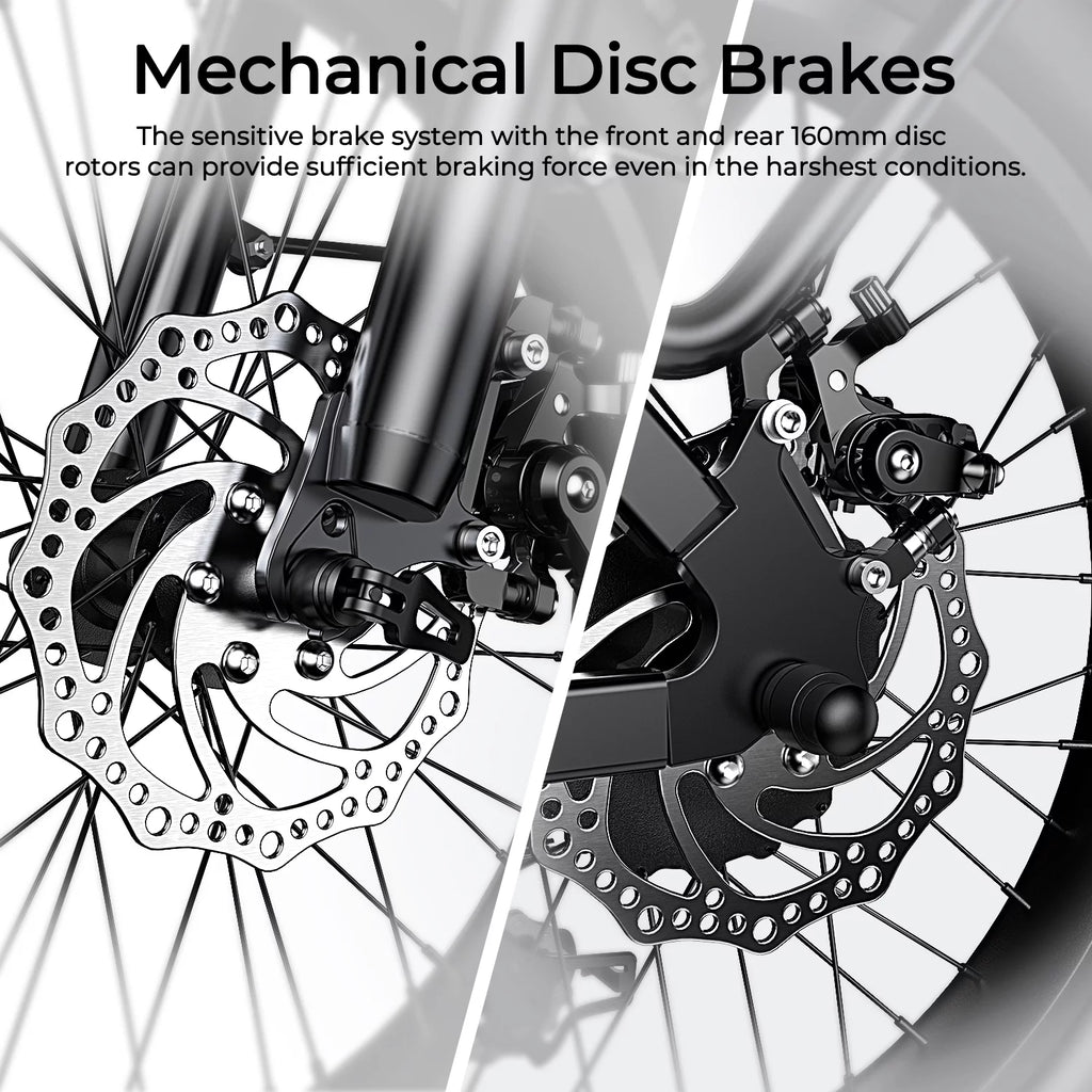 Electric Bike 26×4.0 Fat Tire 750W Motor 48V 15AH L313